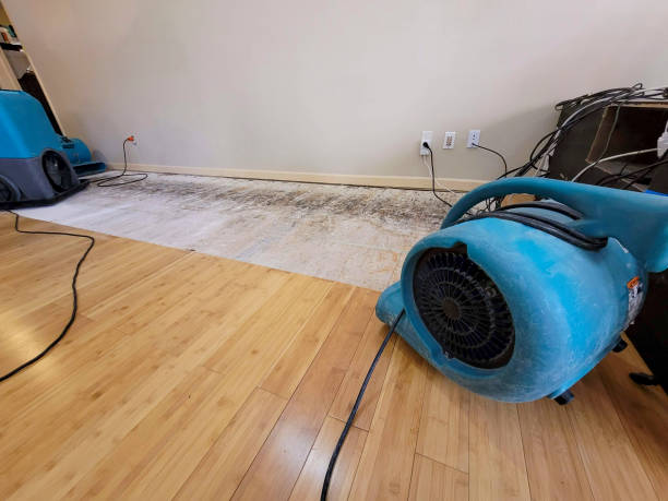 Professional Flood Damage Cleanup technician working in Eagle, NE